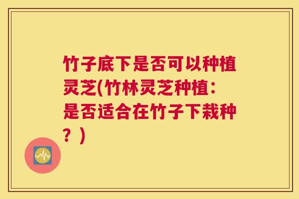 竹子底下是否可以种植灵芝(竹林灵芝种植：是否适合在竹子下栽种？)