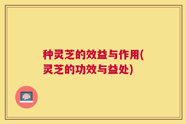 种灵芝的效益与作用(灵芝的功效与益处)
