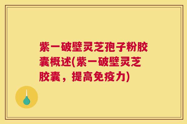 紫一破壁灵芝孢子粉胶囊概述(紫一破壁灵芝胶囊，提高免疫力)