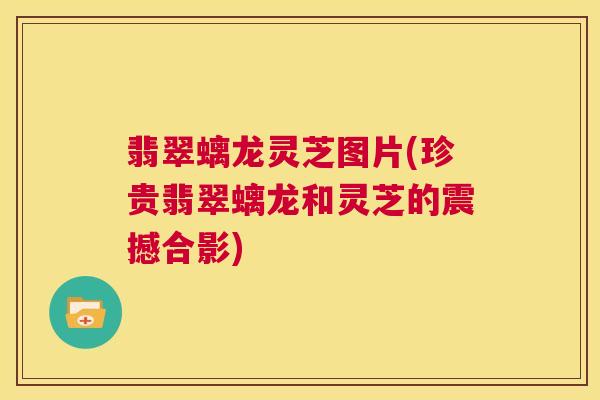 翡翠螭龙灵芝图片(珍贵翡翠螭龙和灵芝的震撼合影)