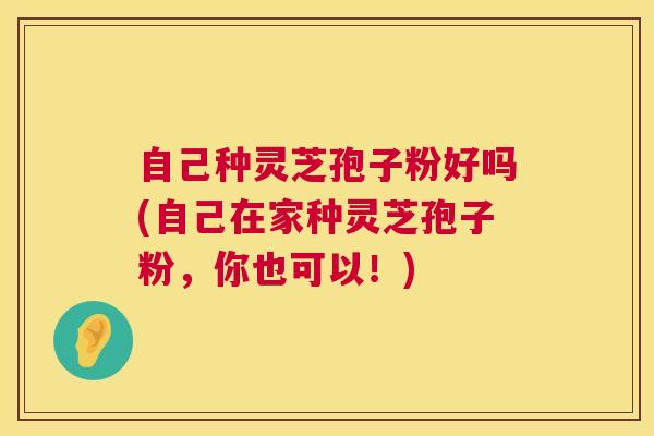 自己种灵芝孢子粉好吗(自己在家种灵芝孢子粉，你也可以！)