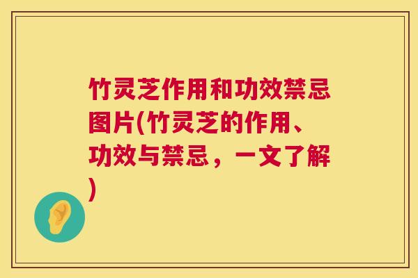 竹灵芝作用和功效禁忌图片(竹灵芝的作用、功效与禁忌，一文了解)