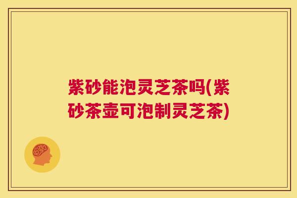 紫砂能泡灵芝茶吗(紫砂茶壶可泡制灵芝茶)