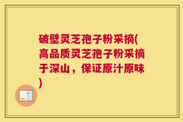 破壁灵芝孢子粉采摘(高品质灵芝孢子粉采摘于深山，保证原汁原味)