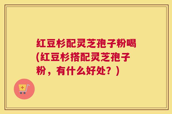 红豆杉配灵芝孢子粉喝(红豆杉搭配灵芝孢子粉，有什么好处？)