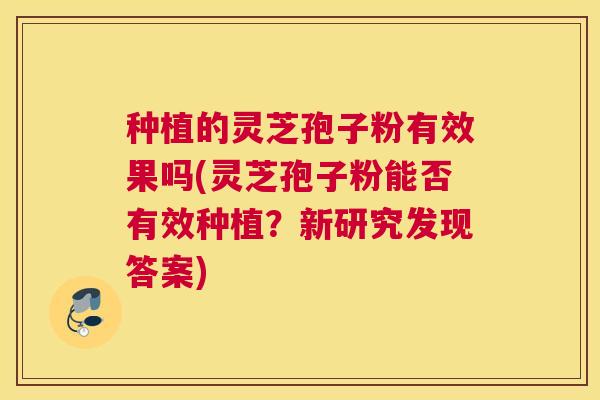 种植的灵芝孢子粉有效果吗(灵芝孢子粉能否有效种植？新研究发现答案)