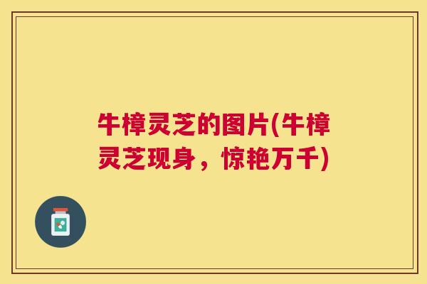 牛樟灵芝的图片(牛樟灵芝现身，惊艳万千)