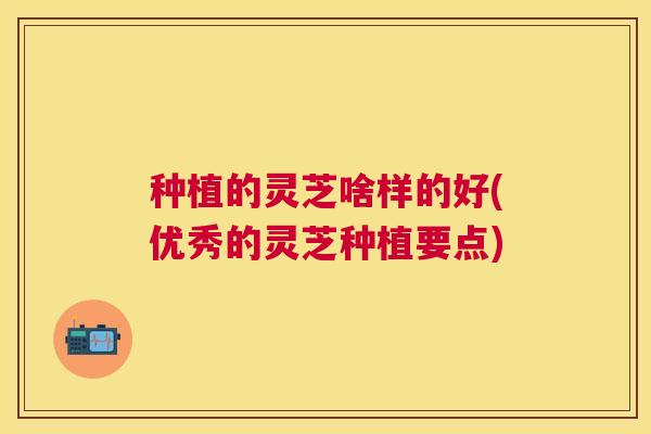 种植的灵芝啥样的好(优秀的灵芝种植要点)