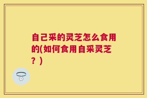 自己采的灵芝怎么食用的(如何食用自采灵芝？)