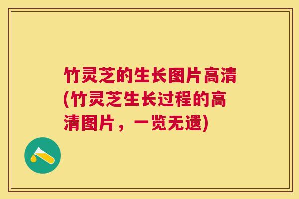 竹灵芝的生长图片高清(竹灵芝生长过程的高清图片，一览无遗)