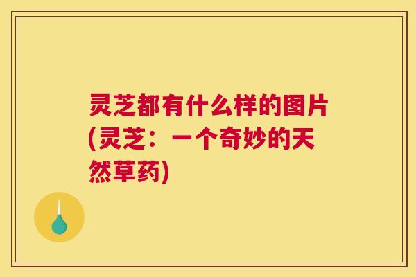 灵芝都有什么样的图片(灵芝：一个奇妙的天然草药)