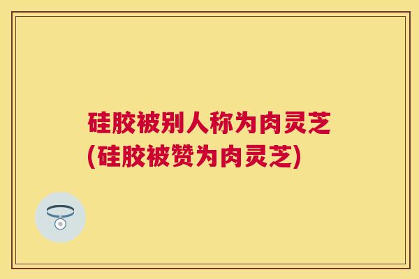 硅胶被别人称为肉灵芝(硅胶被赞为肉灵芝) 硅胶被别人称为肉灵芝(硅胶被赞为肉灵芝)