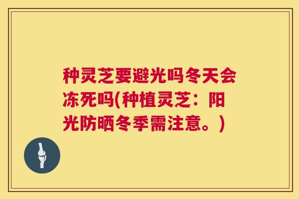 种灵芝要避光吗冬天会冻死吗(种植灵芝：阳光防晒冬季需注意。)