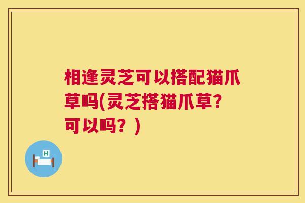 相逢灵芝可以搭配猫爪草吗(灵芝搭猫爪草？可以吗？)