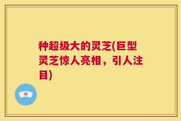 种超级大的灵芝(巨型灵芝惊人亮相，引人注目)