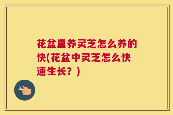 花盆里养灵芝怎么养的快(花盆中灵芝怎么快速生长?) 花盆里养灵芝怎么养的快(花盆中灵芝怎么快速生长?)