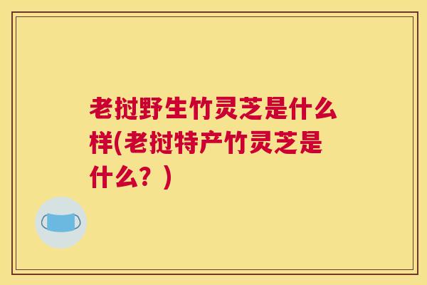 老挝野生竹灵芝是什么样(老挝特产竹灵芝是什么？)