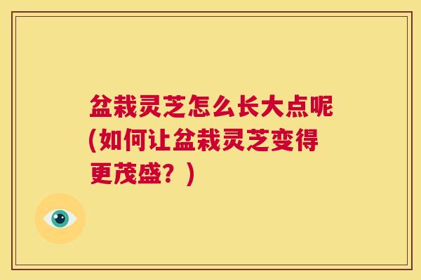 盆栽灵芝怎么长大点呢(如何让盆栽灵芝变得更茂盛？)