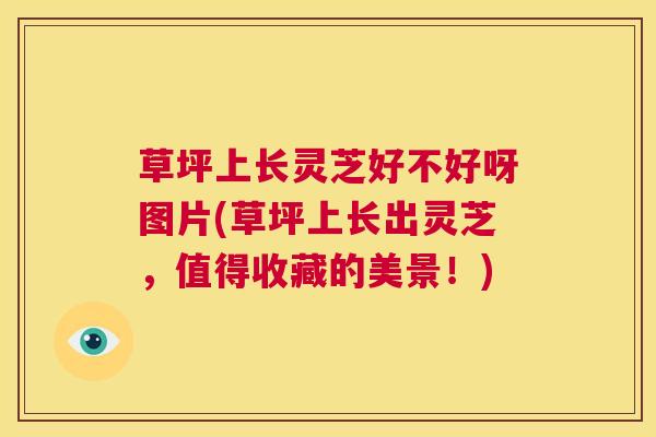草坪上长灵芝好不好呀图片(草坪上长出灵芝，值得收藏的美景！)