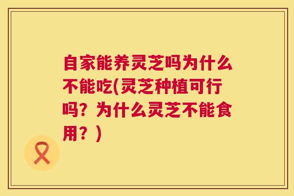 自家能养灵芝吗为什么不能吃(灵芝种植可行吗？为什么灵芝不能食用？)