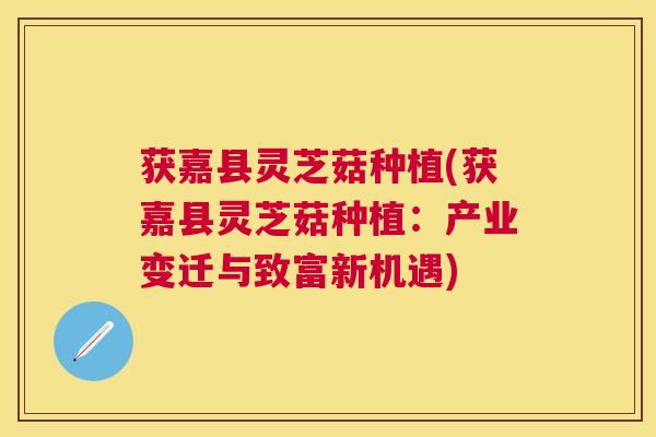 获嘉县灵芝菇种植(获嘉县灵芝菇种植：产业变迁与致富新机遇)