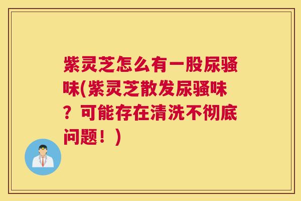 紫灵芝怎么有一股尿骚味(紫灵芝散发尿骚味？可能存在清洗不彻底问题！)