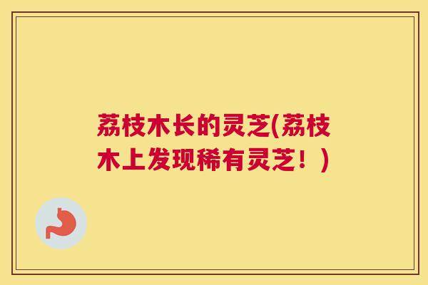 荔枝木长的灵芝(荔枝木上发现稀有灵芝!) 荔枝木长的灵芝(荔枝木上发现稀有灵芝!)