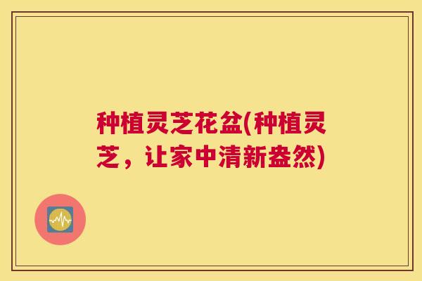 种植灵芝花盆(种植灵芝，让家中清新盎然)