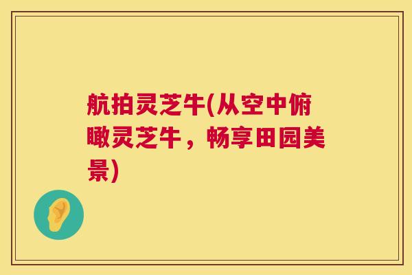 航拍灵芝牛(从空中俯瞰灵芝牛，畅享田园美景)