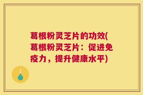 葛根粉灵芝片的功效(葛根粉灵芝片：促进免疫力，提升健康水平)