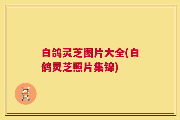 白鸽灵芝图片大全(白鸽灵芝照片集锦)