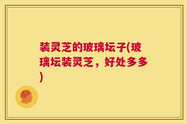 装灵芝的玻璃坛子(玻璃坛装灵芝，好处多多)