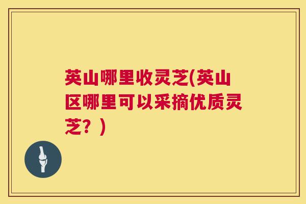 英山哪里收灵芝(英山区哪里可以采摘优质灵芝？)