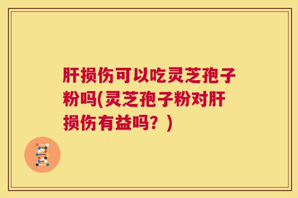 肝损伤可以吃灵芝孢子粉吗(灵芝孢子粉对肝损伤有益吗？)