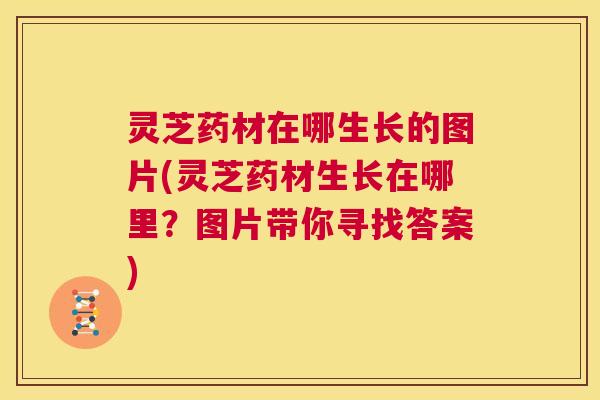 灵芝药材在哪生长的图片(灵芝药材生长在哪里？图片带你寻找答案)