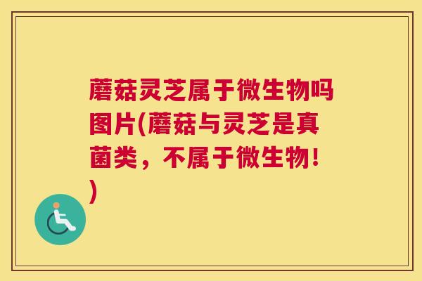 蘑菇灵芝属于微生物吗图片(蘑菇与灵芝是真菌类，不属于微生物！)