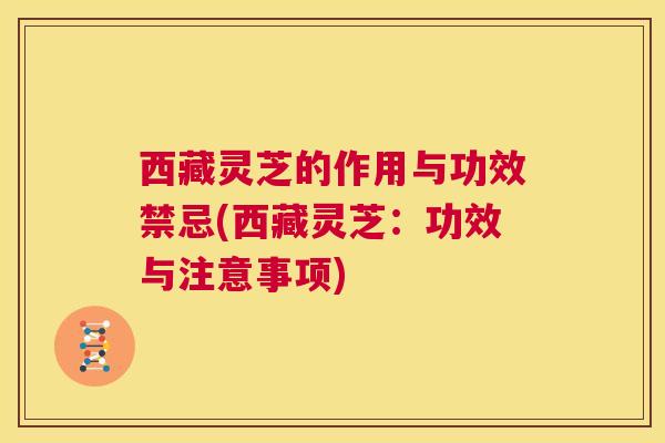 西藏灵芝的作用与功效禁忌(西藏灵芝：功效与注意事项)