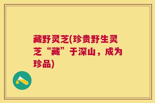 藏野灵芝(珍贵野生灵芝“藏”于深山，成为珍品)