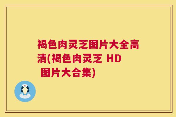 褐色肉灵芝图片大全高清(褐色肉灵芝 HD 图片大合集)
