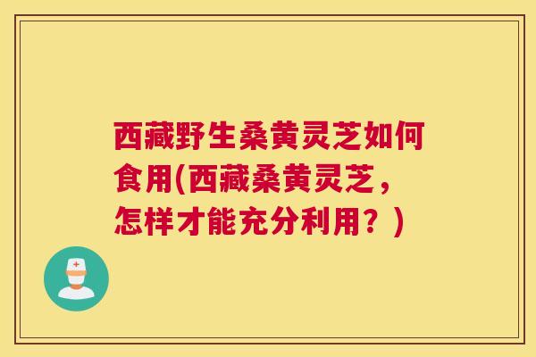 西藏野生桑黄灵芝如何食用(西藏桑黄灵芝，怎样才能充分利用？)