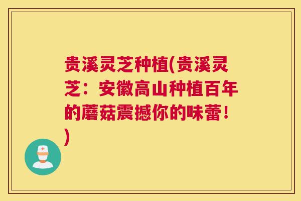 贵溪灵芝种植(贵溪灵芝：安徽高山种植百年的蘑菇震撼你的味蕾！)