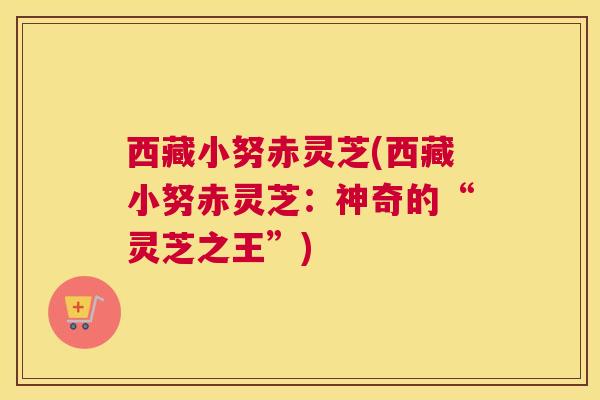 西藏小努赤灵芝(西藏小努赤灵芝：神奇的“灵芝之王”)