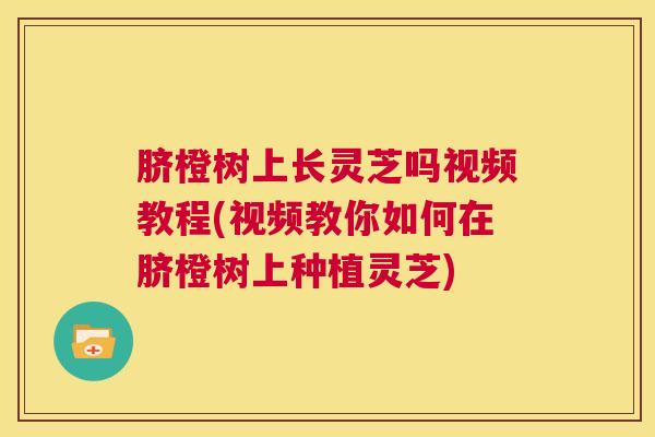 脐橙树上长灵芝吗视频教程(视频教你如何在脐橙树上种植灵芝)