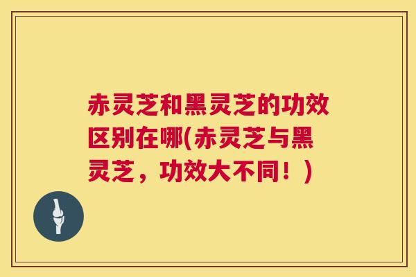 赤灵芝和黑灵芝的功效区别在哪(赤灵芝与黑灵芝，功效大不同！)