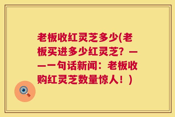 老板收红灵芝多少(老板买进多少红灵芝?——一句话新闻:老板收购红灵芝数量惊人!) 老板收红灵芝多少(老板买进多少红灵芝?——一句话新闻:老板收购红灵芝数量惊人!)