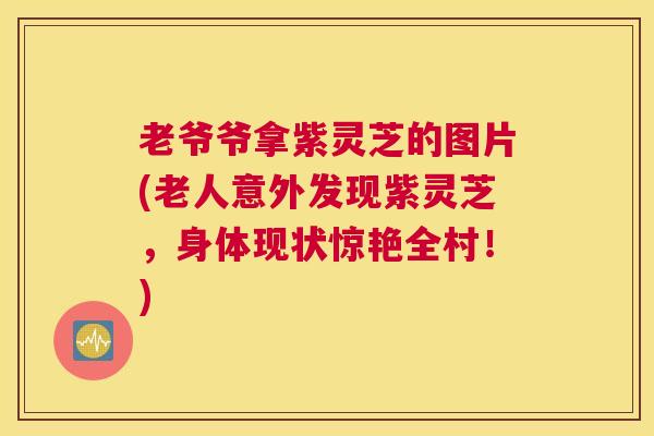 老爷爷拿紫灵芝的图片(老人意外发现紫灵芝，身体现状惊艳全村！)