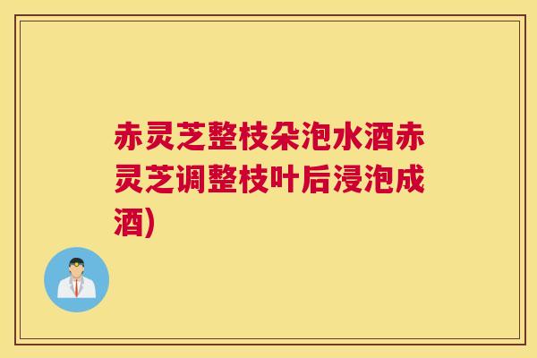 赤灵芝整枝朵泡水酒赤灵芝调整枝叶后浸泡成酒)