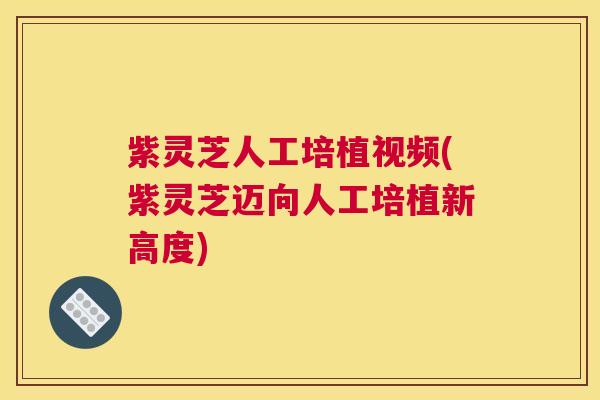 紫灵芝人工培植视频(紫灵芝迈向人工培植新高度)