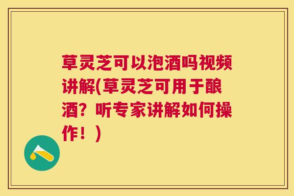 草灵芝可以泡酒吗视频讲解(草灵芝可用于酿酒?听专家讲解如何操作!) 草灵芝可以泡酒吗视频讲解(草灵芝可用于酿酒?听专家讲解如何操作!)