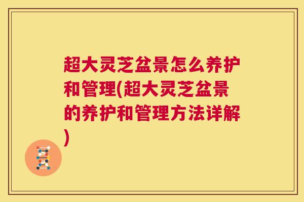 超大灵芝盆景怎么养护和管理(超大灵芝盆景的养护和管理方法详解)